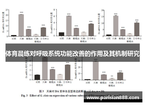 体育晨练对呼吸系统功能改善的作用及其机制研究